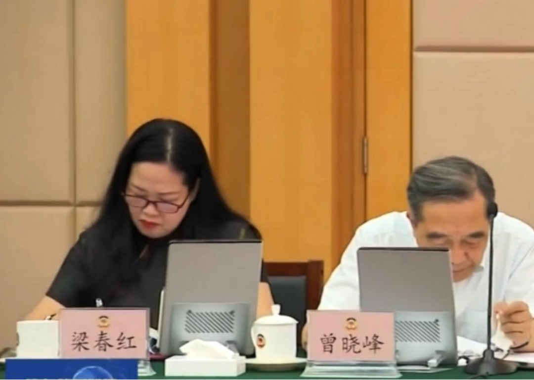 梁春红出席粤商・省长面对面协商座谈会 献策活化湛江海味粽子-华闻时空