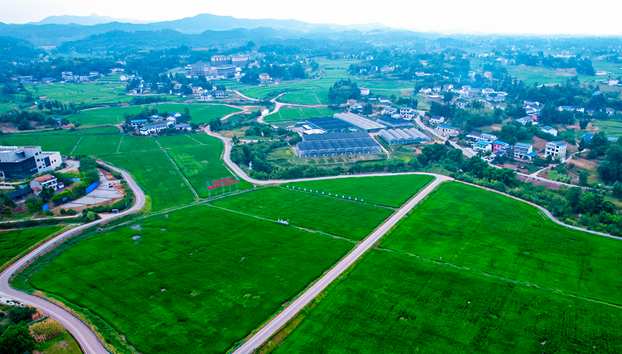 Yingshan, Sichuan: Drawing a New Blueprint for Agricultural and Rural Modernization Construction in Qiuqu District