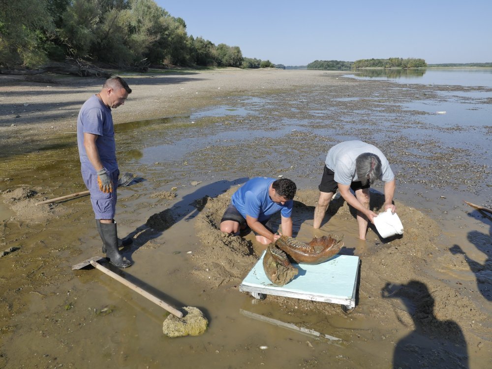 Gdje Dunav (ne) ljubi nebo: &Scaron;to je sve rekordna su&scaron;a izvukla na povr&scaron;inu |  tportal