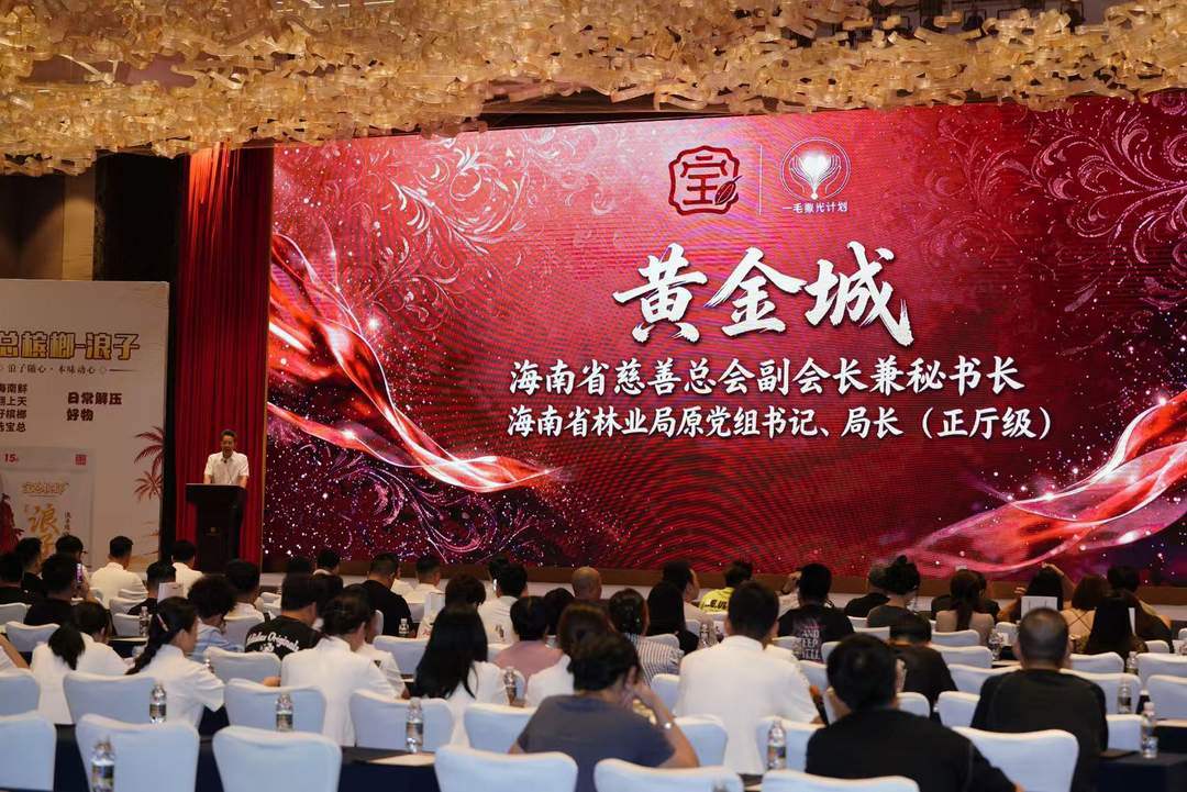 图片[2]-海南省慈善总会与本土爱心企业举行公益捐赠 启动仪式-华闻时空