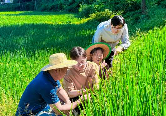 Yingshan, Sichuan: Anhua Township launches a series of activities called 