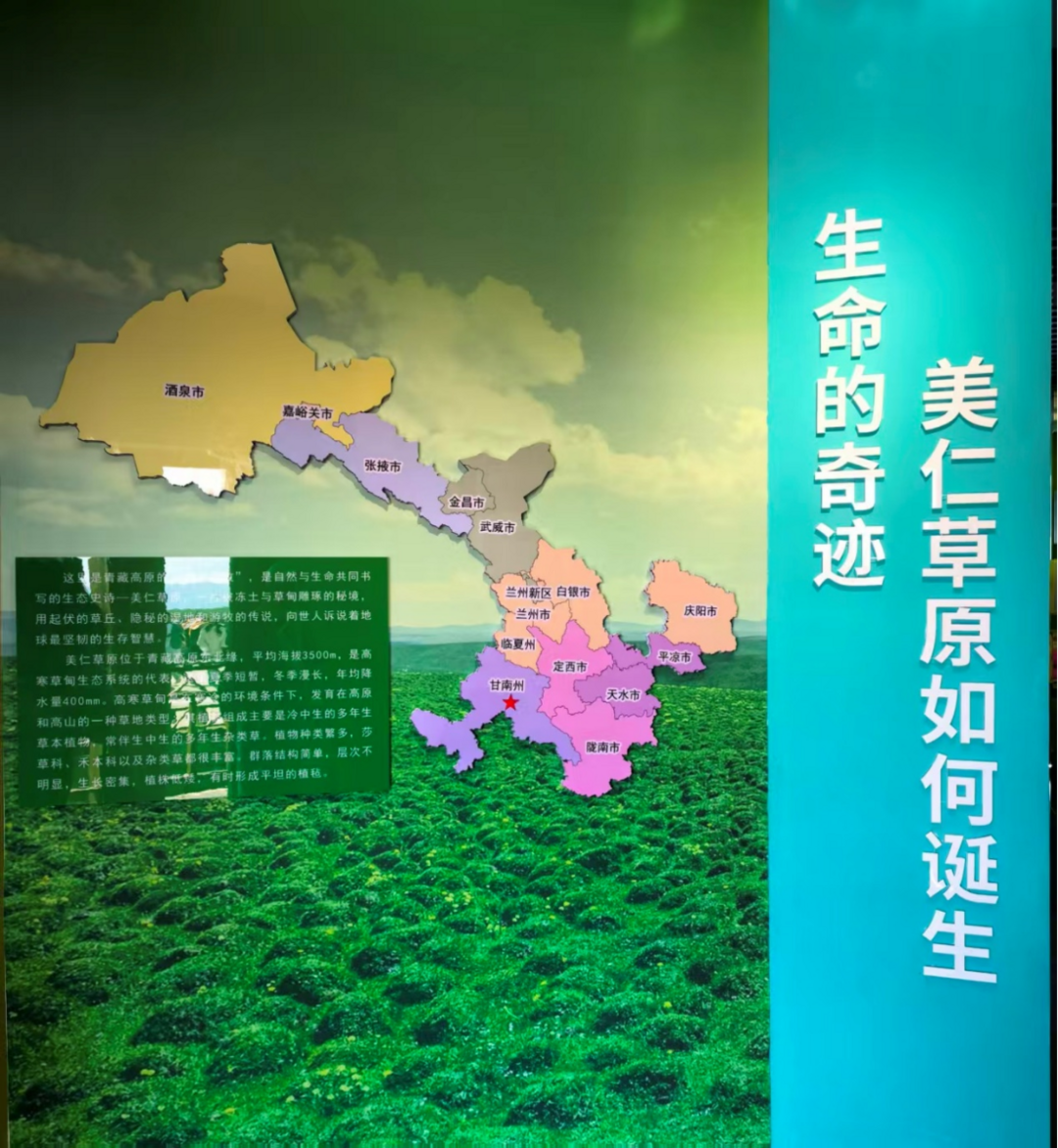 图片[3]-甘南美仁大草原：守护高原草甸 绘就生态富民画卷-华闻时空