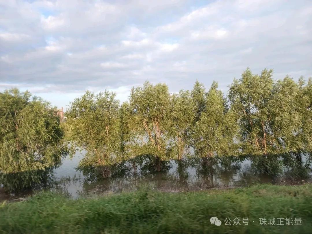 ʯ��������ȥ���£�ʱ��������ǽ����