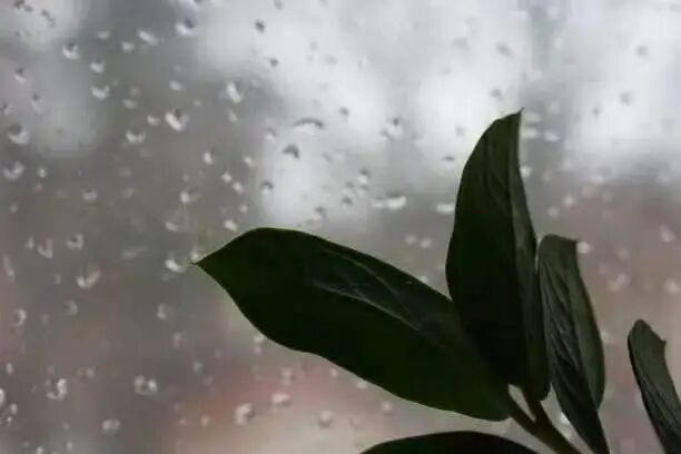 【美文赏读】董鹏生:下雨了-华闻时空