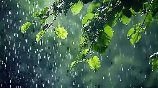 图片[3]-【美文赏读】董鹏生：下雨了-华闻时空