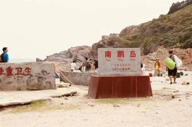 图片[4]-鹏岛的长笛 | 麦畋-华闻时空