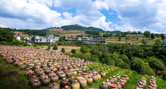 2026年“寻美毕节”启动仪式暨主题采风活动在金沙圆满举办