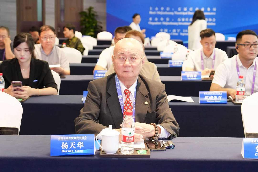 图片[3]-专访杨天华：助力更多冀企从”抱团出海”到”落地东盟”-华闻时空