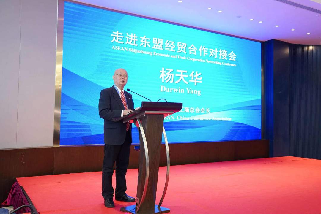 图片[4]-专访杨天华：助力更多冀企从”抱团出海”到”落地东盟”-华闻时空