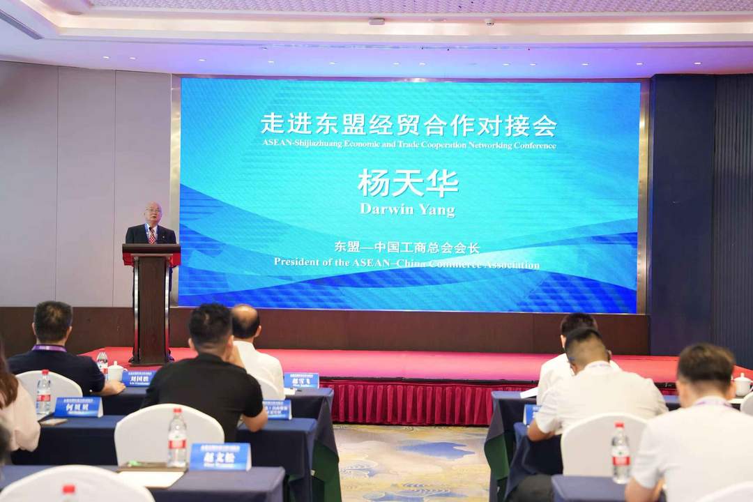图片[2]-专访杨天华：助力更多冀企从”抱团出海”到”落地东盟”-华闻时空