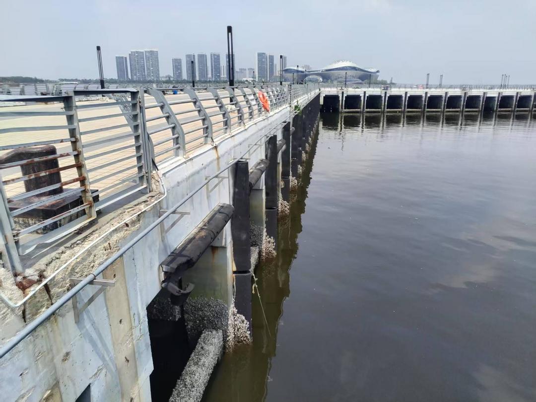 寒海五十分钟生死托举！湛江现役军人挺身勇救三条人命-华闻时空