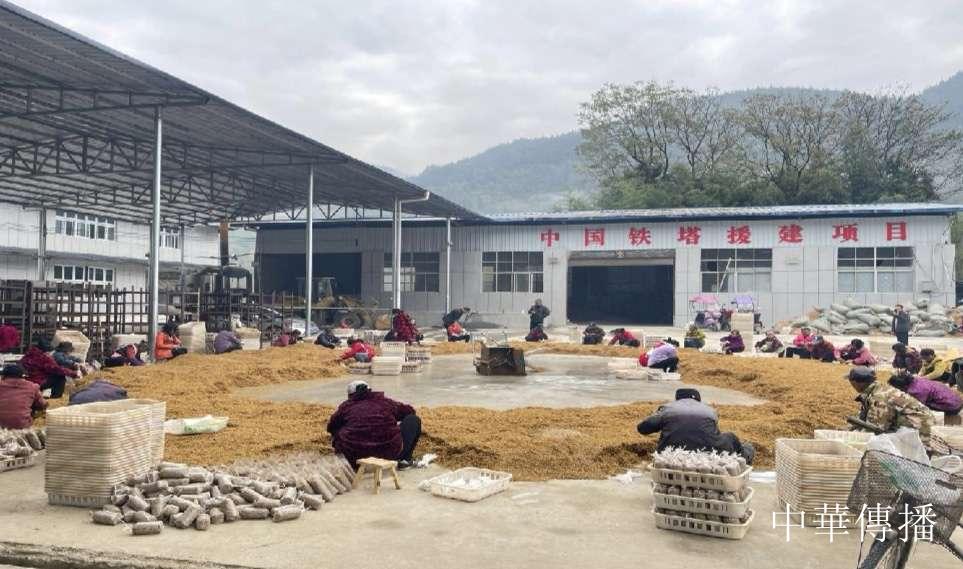 雄峙群山铸丰碑——中国铁塔帮扶宣恩十年纪实