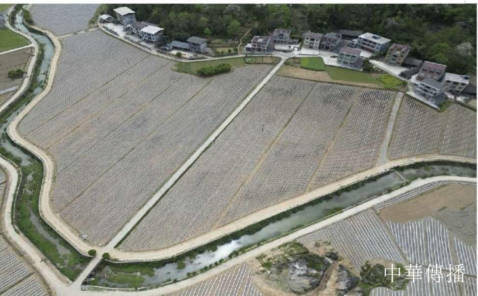 雄峙群山铸丰碑——中国铁塔帮扶宣恩十年纪实