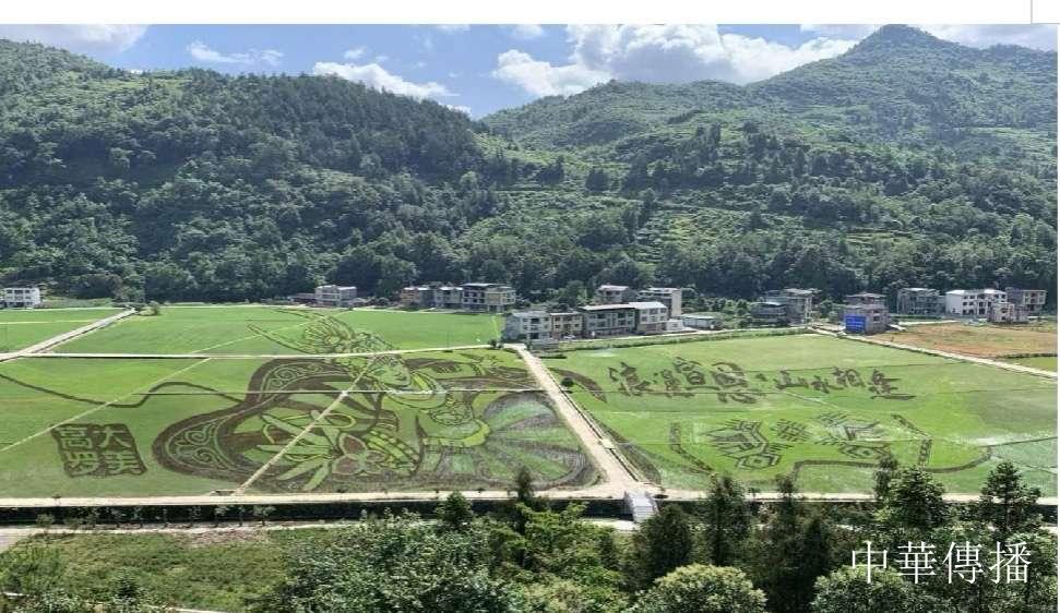 雄峙群山铸丰碑——中国铁塔帮扶宣恩十年纪实