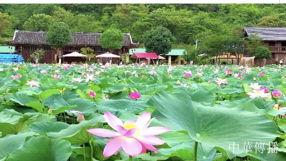 雄峙群山铸丰碑——中国铁塔帮扶宣恩十年纪实