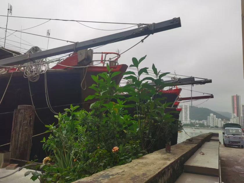 图片[2]-陳溥森：正視歷史遺留問題 化解內港碼頭矛盾-华闻时空