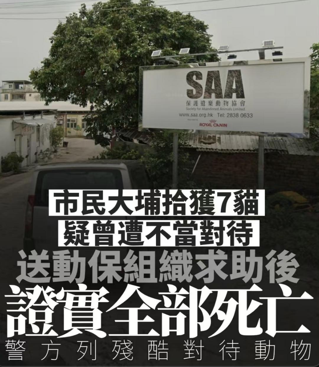大埔揭發一宗懷疑殘酷對待動物案件-华闻时空