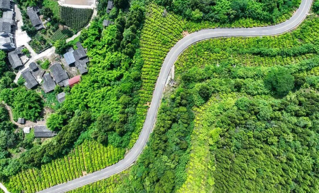 The Five Year Transformation of Urban and Rural Appearance in Nanchong, Sichuan Province