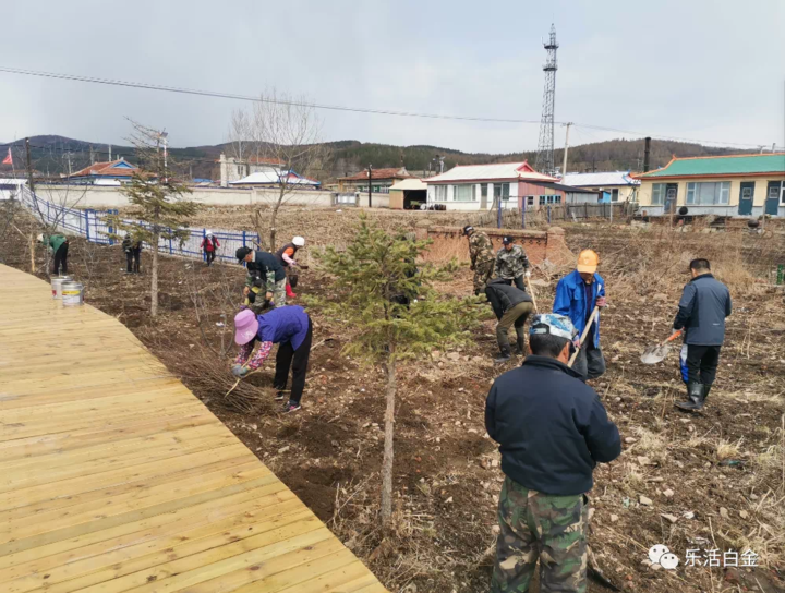 文旅赋能龙井市白金乡勇新乡村振兴
