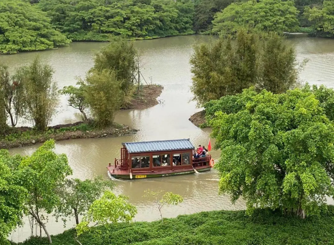 新会梅江湿地公园图片