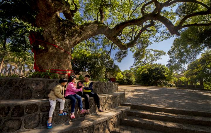 惠州周田村_阿根廷_新闻_华人头条